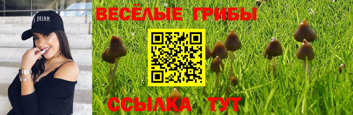 Галлюциногенные грибы мухоморы Малоярославец
