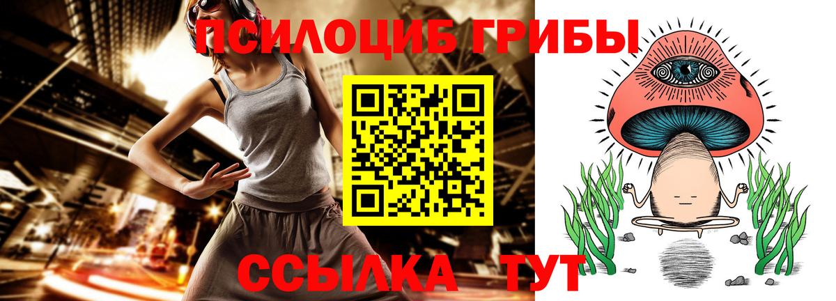 ГАШ Малоярославец